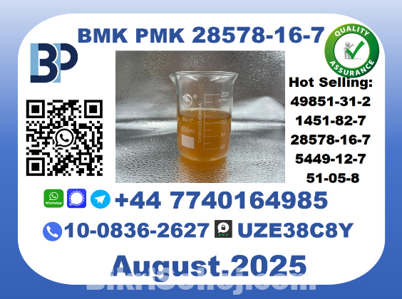 BMK PMK factory，CAS 28578-16-7 worldwide safe&fast delivery